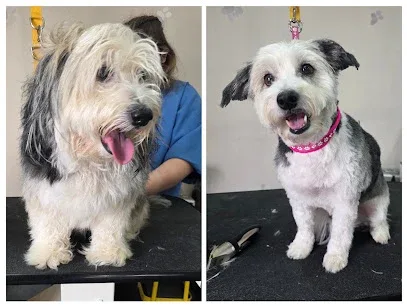 Dukes pet parlour