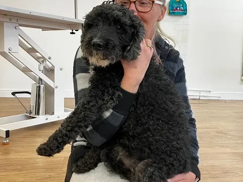 Emma's Dog Groomers - Nantwich & Shavington