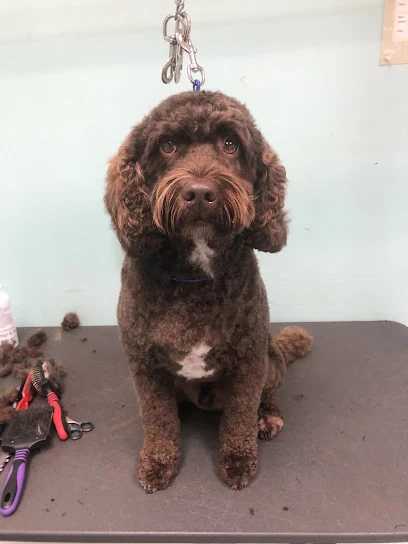 Fairy Tails Dog Parlour