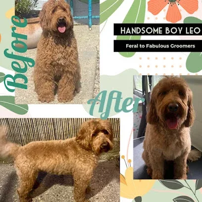 Feral to Fabulous Groomers