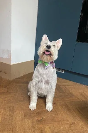 Fluff & Buff