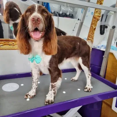 Fluffy Bubbles Dog Grooming