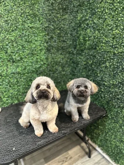 Fluffy cuts dog grooming