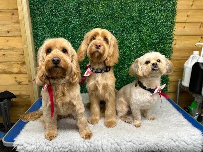 Fluffy Paws Dog Grooming