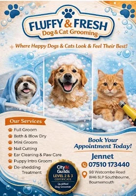 FLUFFY&FRESH DOG GROOMING