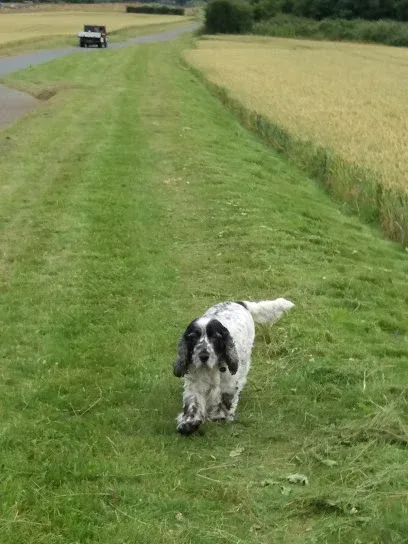 Fur Dressers Dog Grooming Billinge