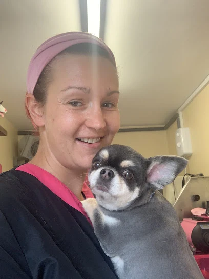 Good Grooming Dog Groomer