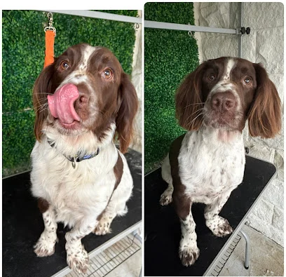 Grace’s Grooms & Dog walking