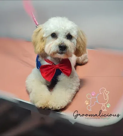 Groomalicious Dog Grooming Torquay