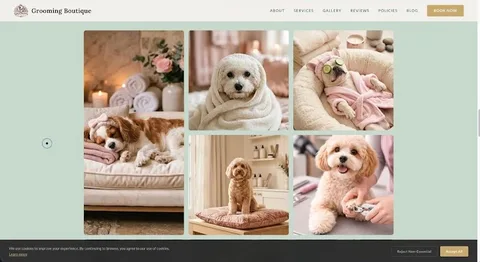 Grooming boutique