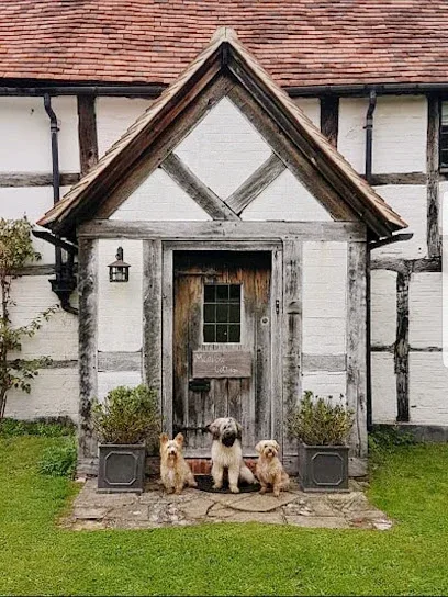 Groucho Club Dog Grooming