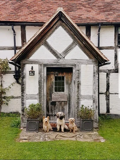 Groucho Club Dog Grooming