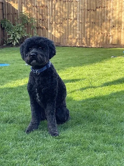 Hair and Hound Groomers
