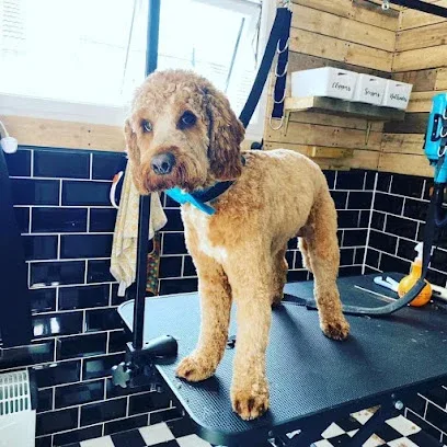Hanks Dog Parlour