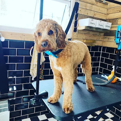 Hanks Dog Parlour