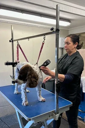 Happy Hound Dog Grooming Service