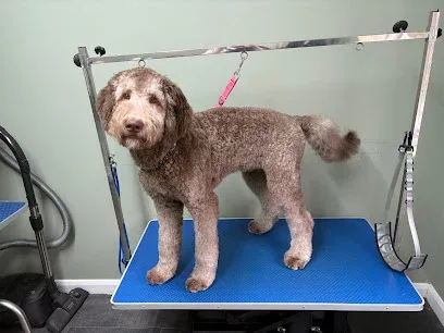 Happy paws