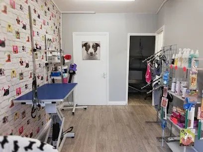 Hayley's Hounds Mobile Dog Grooming