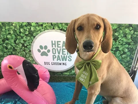 Head Over Paws Dog Grooming