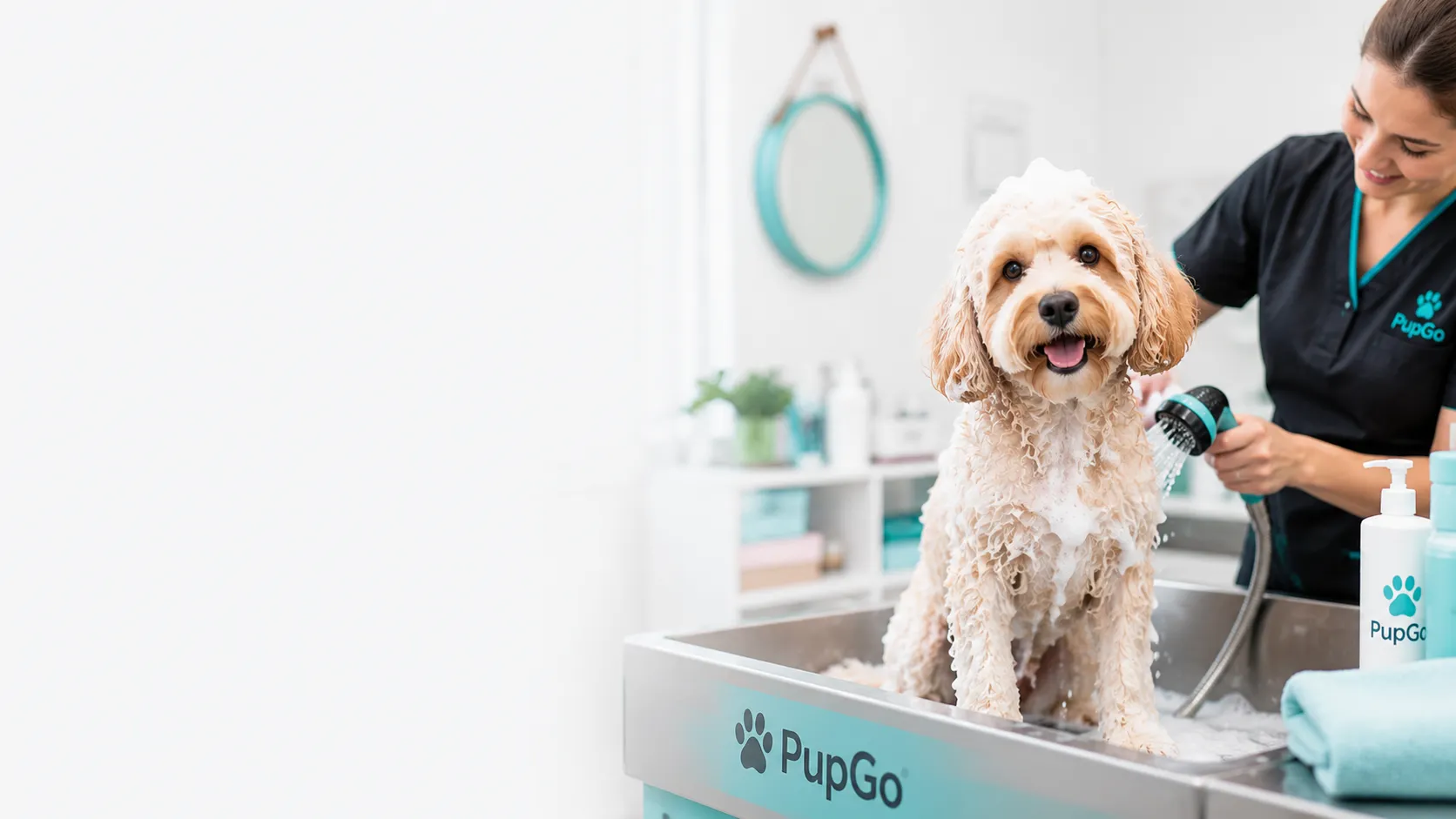 Dog Grooming at Home