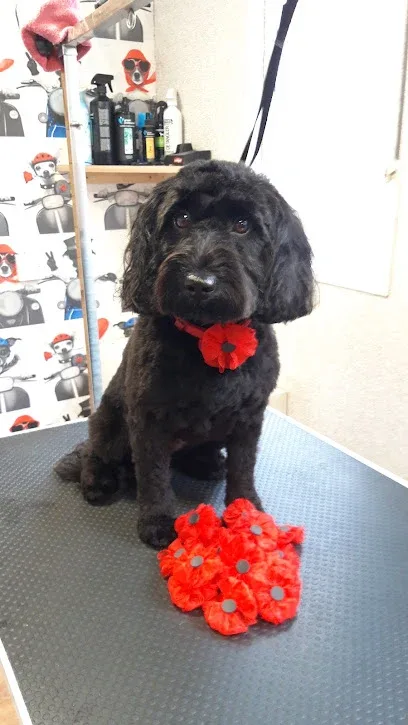 Hounds of Love Dog Grooming Salon