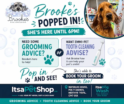 ItsaPetShop