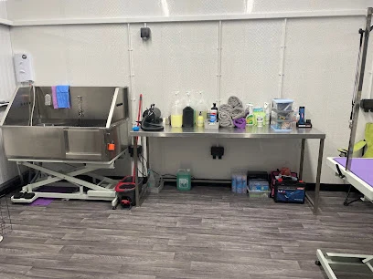 Just Fur Paws Northamptonshire Dog Grooming