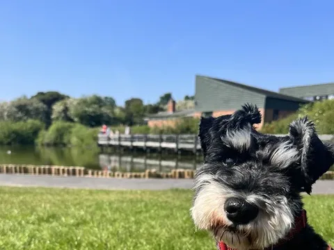 K9Transfurmations