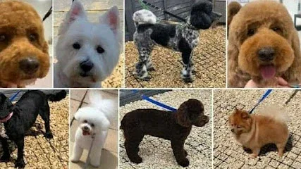 Kali's K9's