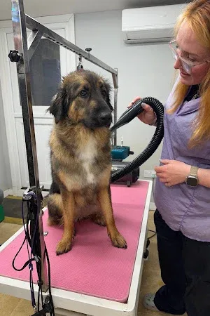 Kennel Kuts