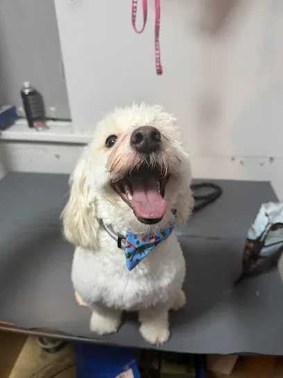 Kirkleys Dog Grooming