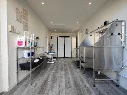 Le Petit Chien Dog Grooming