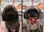 Leominster dog grooming services