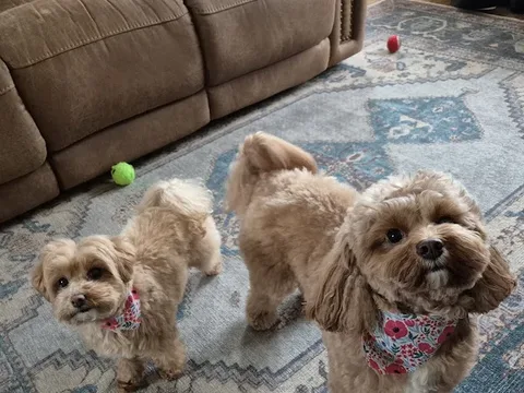Leonie's Pawlour