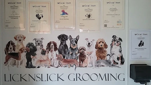 Lick n Slick Dog Grooming
