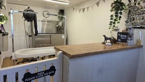 Lisa Jayne Dog Grooming