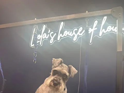 Lola's House of Hounds