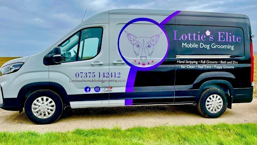 Lottie’s Elite Mobile Dog Grooming