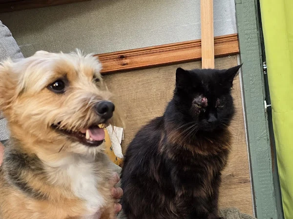 Louboo Pet Grooming