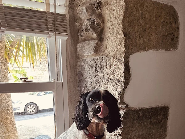 Lou’s Groom Room