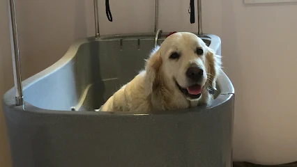 Lovecharm Dog Groomers