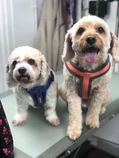 Malys Cuts for Mutts