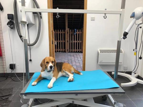 Mama Lina Dog Grooming