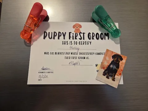 Maple’s Dog Grooming