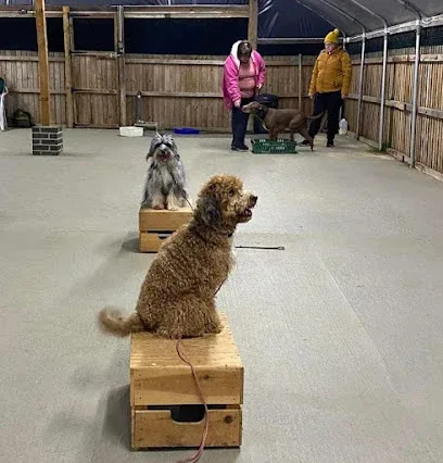Marboo Dogz Pet Grooming & Training