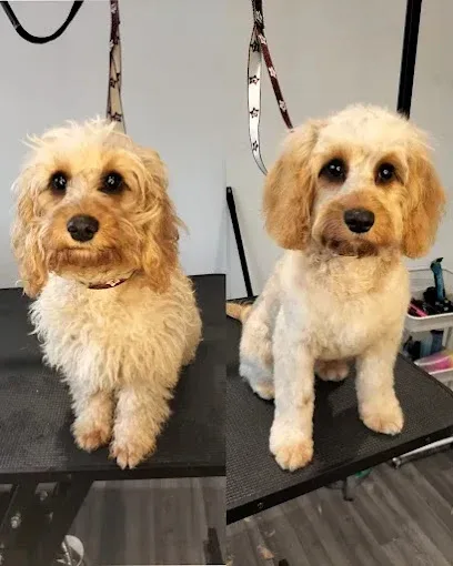 Milly's Pooch Parlour
