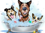 Mobile Pet Microchipping South Wales