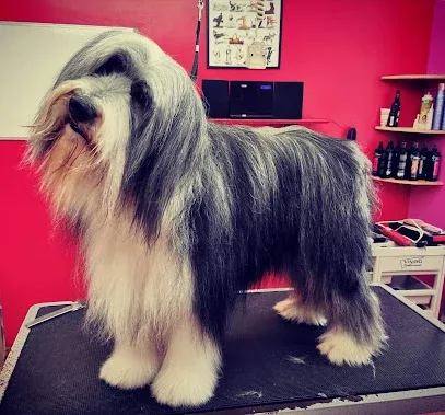 Mucky Pups Dog Grooming Service