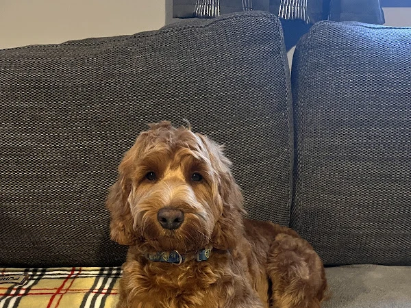 Muckypups Hub and the pup pantry