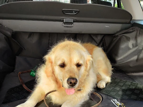 Muddy Little Paws - NVQ 3 Qualified Professional Groomer